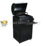 باربیکیو مدل PNX50