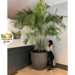 گلدان مدل سیمانی