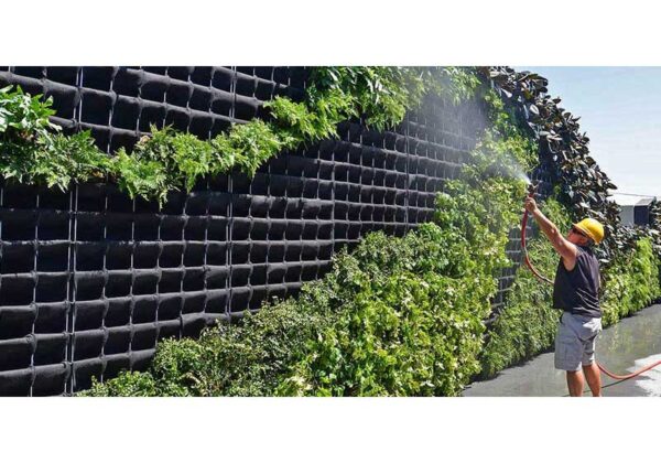 دیوار سبز مدولار چیست